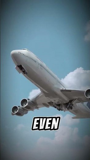 The Truth About Bird Strikes – How Planes Survive the Unthinkable