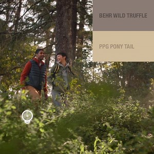 2.9K reactions · 217 shares | Tap to test our paint tools, and download the ProjectColor™ app to see it in your space. | The Home Depot | Facebook