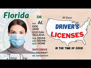 State Driver's licenses | Incredible Designs | All 51 State Licences