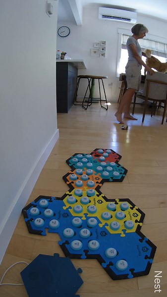 Talking Pets: How My Cat Communicates with Buttons