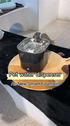 Filtered water removes impurities and bad tastes. Pets love it!#Accokids #cattok #petwaterfountain #catwaterfountain #stainlesssteelwaterbottle #catsmusthaves #catessentials #tiktokshopholidayhaul
