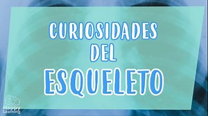 Video educativo: 5 Cosas que no sabías del esqueleto humano | curiosidades fascinantes para niños | Happy Learning