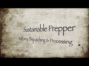 Rabbitry: Dispatching & Processing