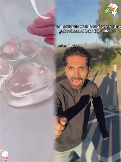 Normal animals vs lab rats when they get released into the wild. #fyp #humor #joke