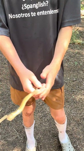 High Elevation Herp! Garter Snake #colorado #rockies #snake #herping #reptiles #cool