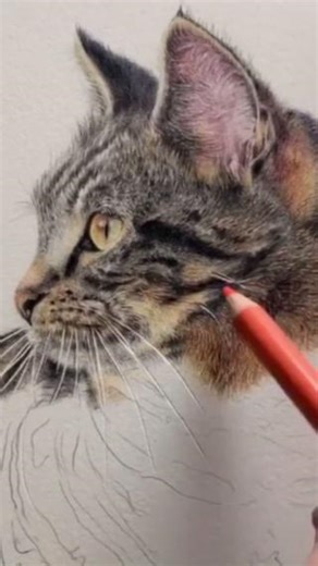 3.7K views · 233 reactions | “I never thought I’d be able to draw...