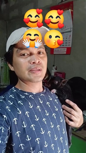 4.2K views · 82 reactions | 殺 #jbirdtv #birdshow #show #jayz #lovebird #birdtricks #happy #handfeed | J BIRD TV | Facebook