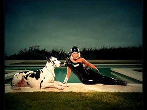Lady GaGa - Animal (Acapella)