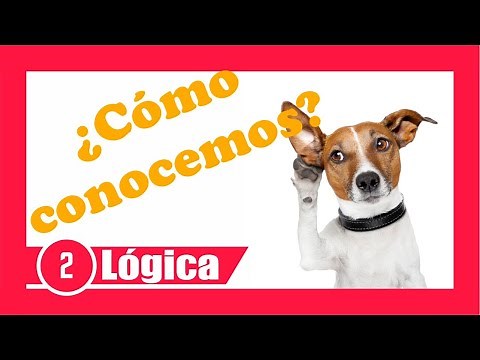 ¿CÓMO CONOCEMOS?🕵️‍♀️EL PENSAMIENTO 😁 curso de LÓGICA😊