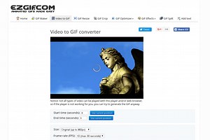 Video to MNG image converter