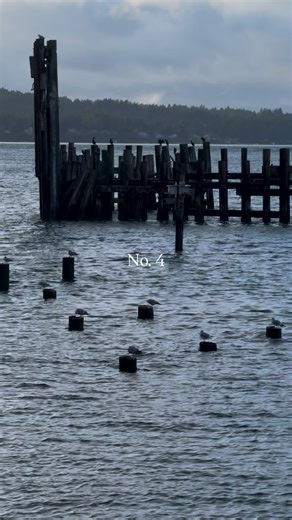 Live.in.the.moment on Instagram: "Six questions to ask your dad. #feelings #thoughts #love #peace #motivation #liveinthemoment #bekind #positivevibes #quotesdaily #growthjourney #abundantmindset #manifestingmindset #shiftyourmindset #peacefulmindpeacefullife #trusttheuniverse #trusttheprocess #reels #consciousmind #conscioustravel #fypシ #inspirationalquotes #mindfulness #fullpotential #instagood #instadaily"