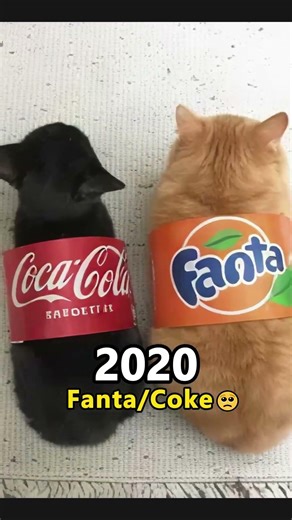 Most Nostalgic Cat and Doge Memes Then and Now❤️🥺
