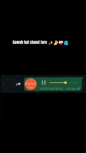 Gawah hain chand taare gawah hain ✨️🤌❤️‍🩹🫂