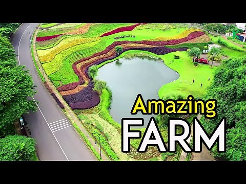 THE MOST BEAUTIFUL OF FARMS Around The World | Drone Footage
