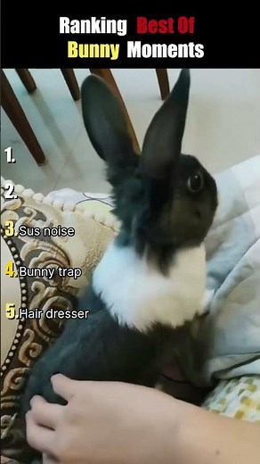 Some Of These Rabbits Have Issues 🐰