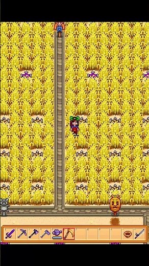 How to get Hay in SDV Part 3: Wheat and using your Silo