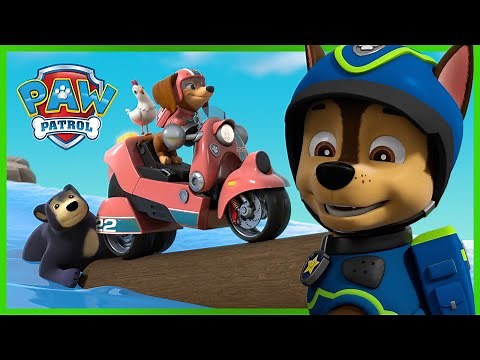 Chase and Liberty Track Down Benny & Chickaletta 🐓- PAW Patrol Rescue Episode - Cartoons for Kids!