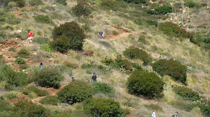 Authorities close Point Mugu State Park trails, beaches during another busy weekend