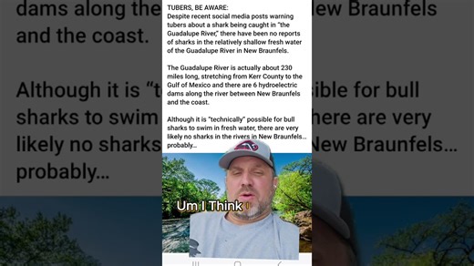 Sharks in fresh water: What you should know