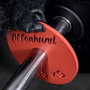 Affenhand® Fractional Plates Gewichtsscheiben