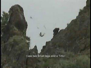 US sniper team reality!