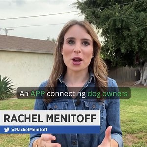 3.4K views · 1K reactions | Attention Dog Lovers of the Great...