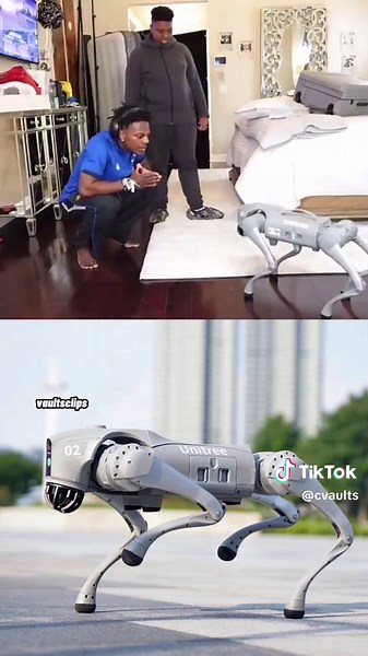 IShowSpeed's $50K Robot Dog Goes Wild!