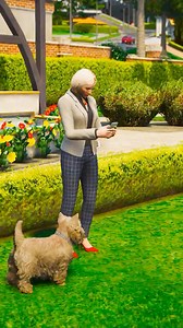 114K views · 488 reactions | GTA V - Dogs teach u | GTA V Gaming | Facebook