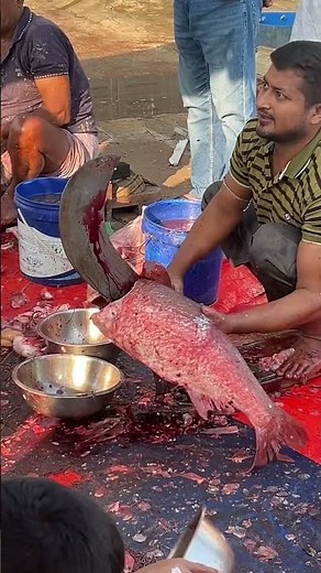 Super fast fish cutting