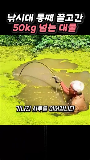 Man Catches a Massive 50kg+ Fish with a Bamboo Fishing Rod