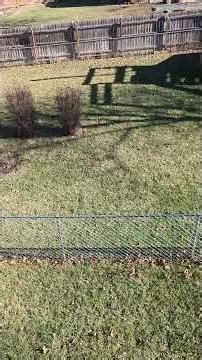 Alzheimer's and The Bible #alzheimers #bible #bibleverses #psalm23 #isaiah #neverforget