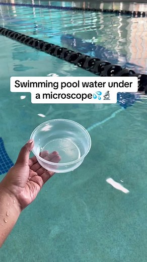 What should we look at next? #microscope #swim #swimmingpool | Holy Water Under Microscope