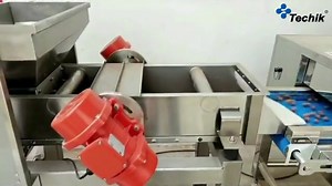 1.2K views · 17 reactions | Techik Macadamia X-ray Inspection System: foreign contaminants removal, defective products removal. More info please email to: sales@techik.net | Techik Instrument - Shanghai Co., Ltd | Facebook