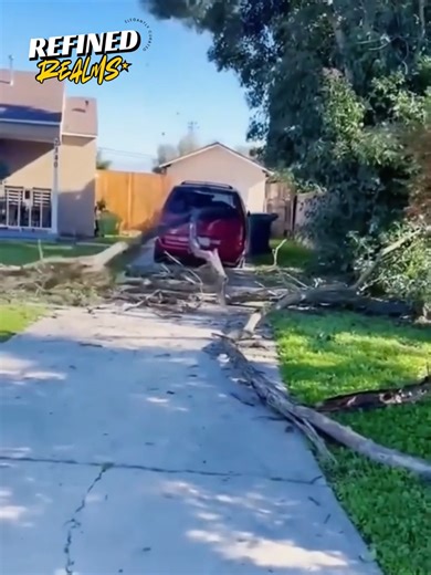 140K views · 222 reactions | Chainsaws, big trees, and epic fails - this compilation is pure chaos! #treecutting #EpicFails #lolclips #nature #funnyfails | Refined Realms | Facebook