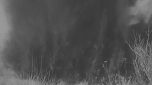 Devil Dogs – U.S. Marines – Sabaton History 023 [Official]