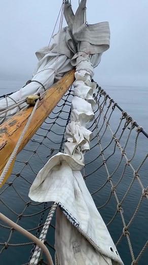 Arctic sailing #tiktokiceland #icelandic #icelandphotographer #iceland #icelandtiktok #sailinglife #sailboat