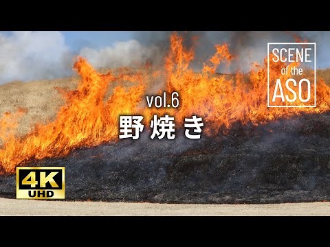 【大自然4K】「阿蘇 野焼き」高画質 癒し映像
