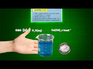 Activity 1.4 class 10 science | Calcium oxide and water