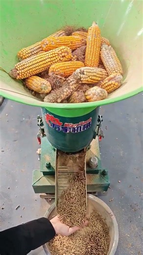 Home-use pellet mill with strong three-phase electric power and fast output; corn cobs can