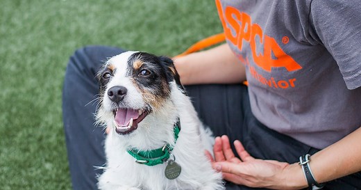 Behavioral Rehabilitation Center