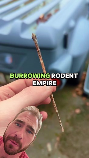 Staff of Beki 📜 #history #facts #gopherit