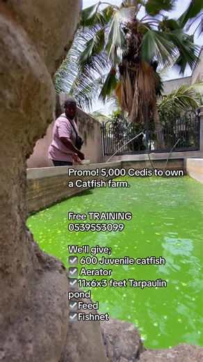 Promo! 5,000 Cedis to own a Catfish farm. Free TRAINING 0539553099 We’ll give; ☑️ 600 Juvenile catfish ☑️ Aerator ☑️11x6x3 feet Tarpaulin pond ☑️Feed ☑️Fishnet