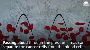 A new ally in the fight against cancer might be sound waves, which can separate cancer cells from blood cells using different frequencies: http://nbcnews.to/2rac6MH Via NBC News MACH | NBC News