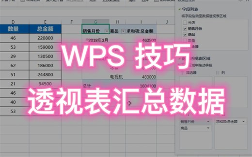 WPS技巧：使用数据透视表，快速分析汇总数据