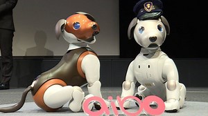 10K views · 531 reactions | Sony's puppy-sized robot dog Aibo, equipped with cameras, artificial intelligence and Internet capability, can now remotely check up on family members, children or even pets. However, the latest canine tech does not come cheap, with a single dog costing nearly 3,000 U.S. dollars for a three-year package. | CGTN | Facebook