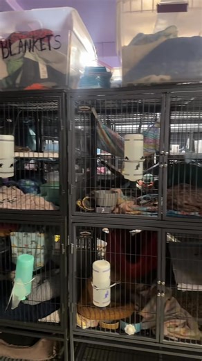 8.2K views · 531 reactions | This is our way of keeping track of all...