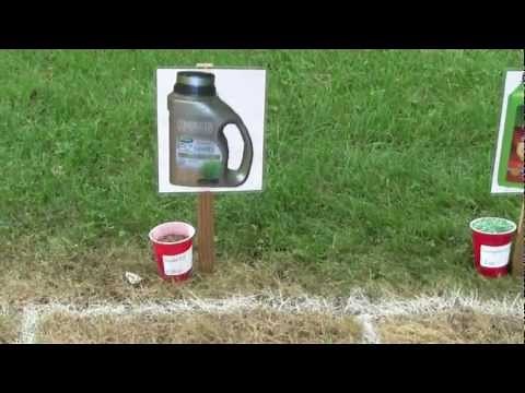 Scotts EZ seed - 28 days