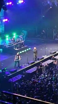 DISTURBED - STUPIFY (Live at Spark Arena AKLNew Zealand 15.3.24) #disturbed #stupify #shorts