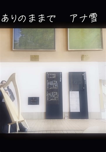 #弾いてみたハープ #harp #大人の習い事 #弾いてみた #アマチュア #楽器 #大分 #ハープ #日見さくら #音楽 #ハープ演奏 #ハープ演奏動画 #弾いてみた耳コピ #ありのまま #ありのままで #アナ雪 #アナと雪の女王