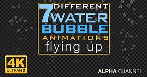 Rising Natural Bubbles Alpha Channel Animation